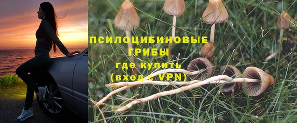 ГАЛЛЮЦИНОГЕННЫЕ ГРИБЫ Ладушкин