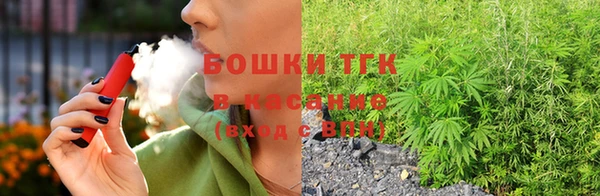 ГАЛЛЮЦИНОГЕННЫЕ ГРИБЫ Ладушкин